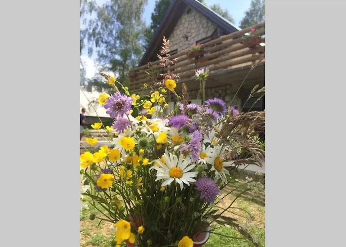 Sanmari_forest シャレー Ledenice